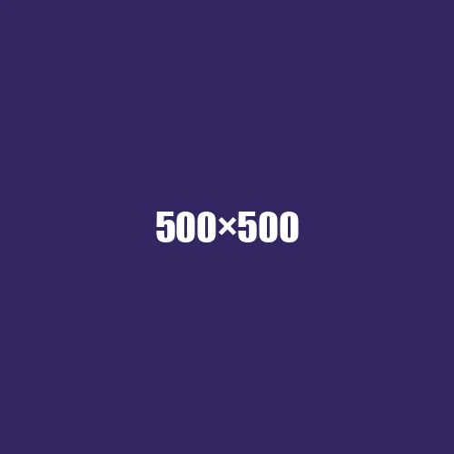 image de remplacement 500 × 500