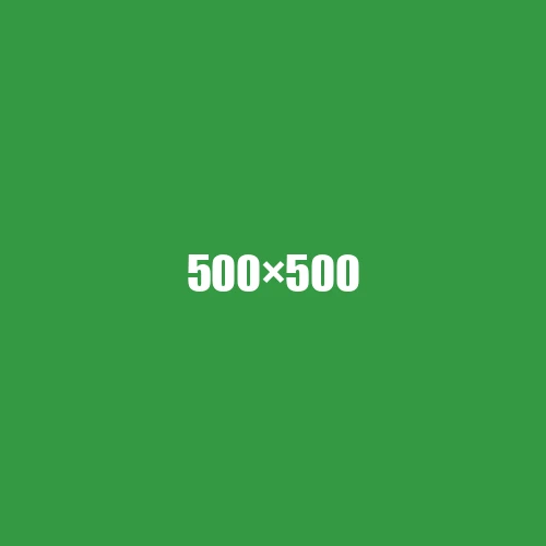 image de remplacement 500 × 500