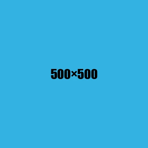 image de remplacement 500 × 500
