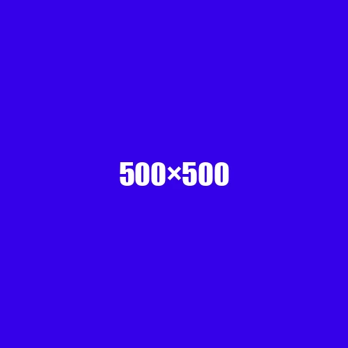 image de remplacement 500 × 500