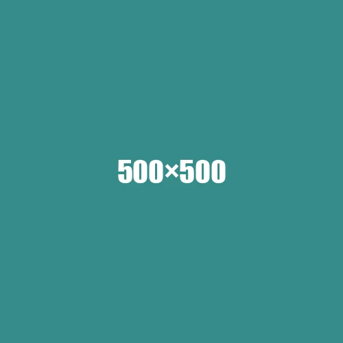 image de remplacement 500 × 500