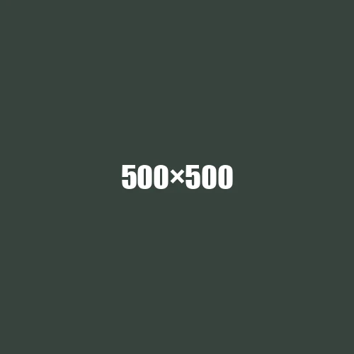 image de remplacement 500 × 500