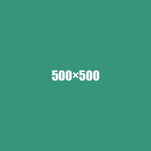 image de remplacement 500 × 500