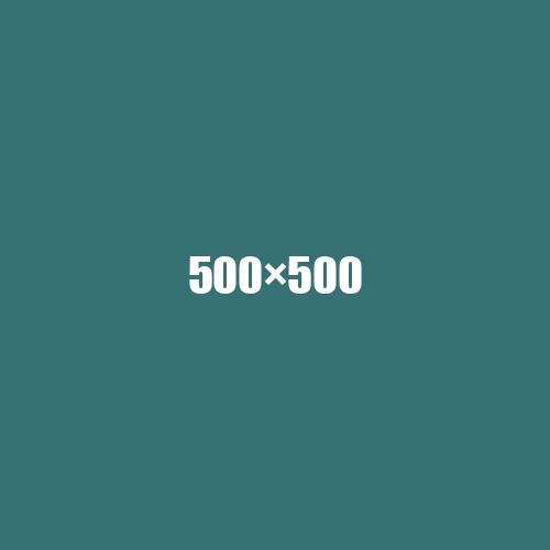 image de remplacement 500 × 500
