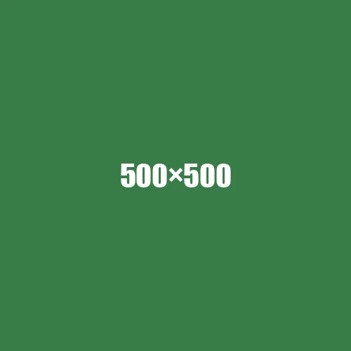 image de remplacement 500 × 500
