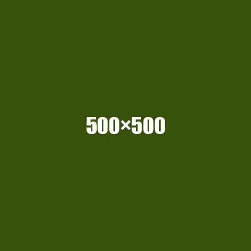 image de remplacement 500 × 500