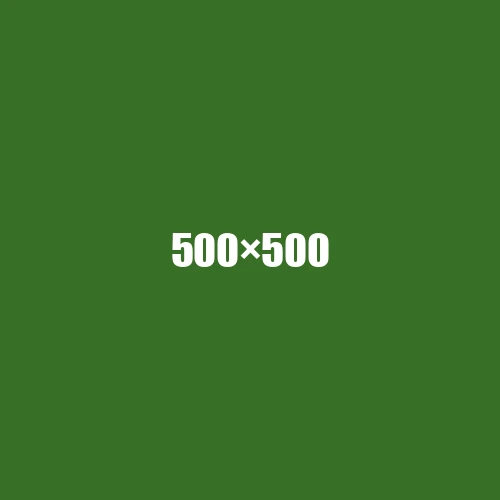 image de remplacement 500 × 500