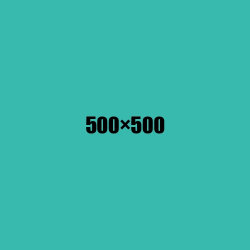 image de remplacement 500 × 500