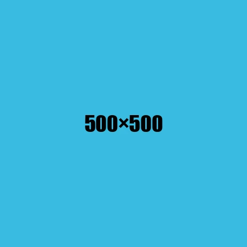 image de remplacement 500 × 500