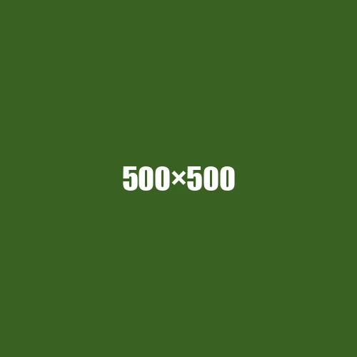 image de remplacement 500 × 500