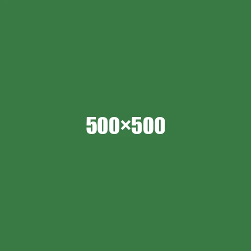 image de remplacement 500 × 500