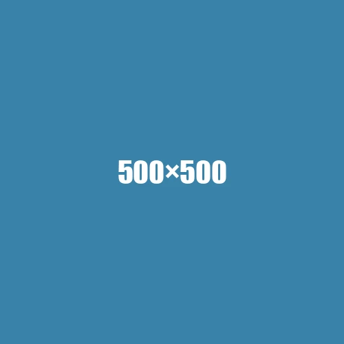 image de remplacement 500 × 500