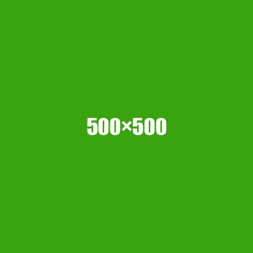 image de remplacement 500 × 500