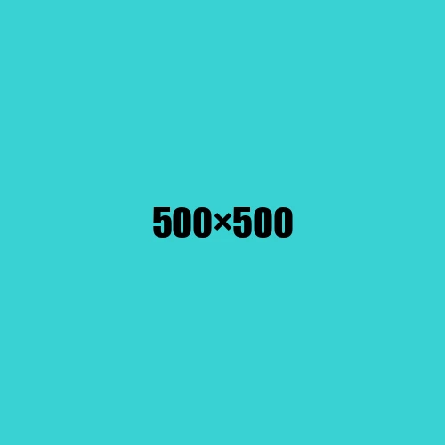image de remplacement 500 × 500
