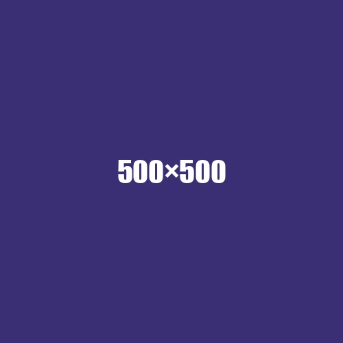 image de remplacement 500 × 500