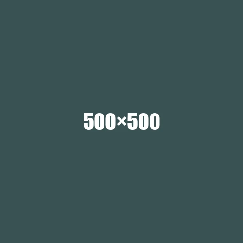 image de remplacement 500 × 500
