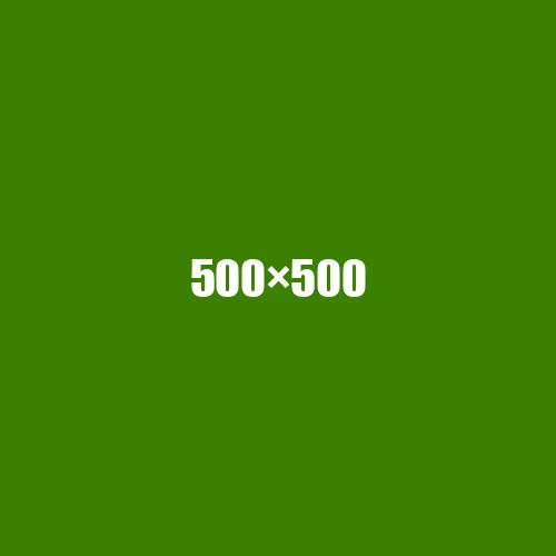image de remplacement 500 × 500