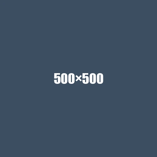 image de remplacement 500 × 500