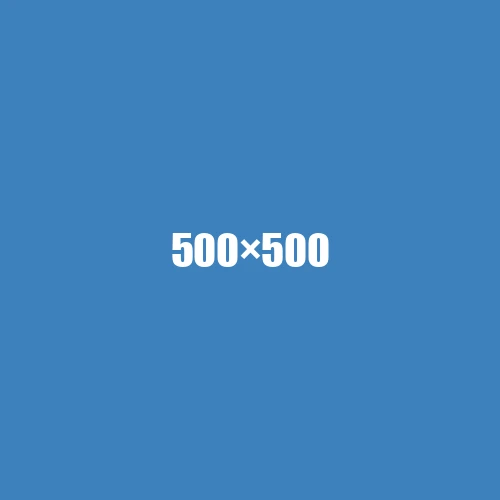 image de remplacement 500 × 500