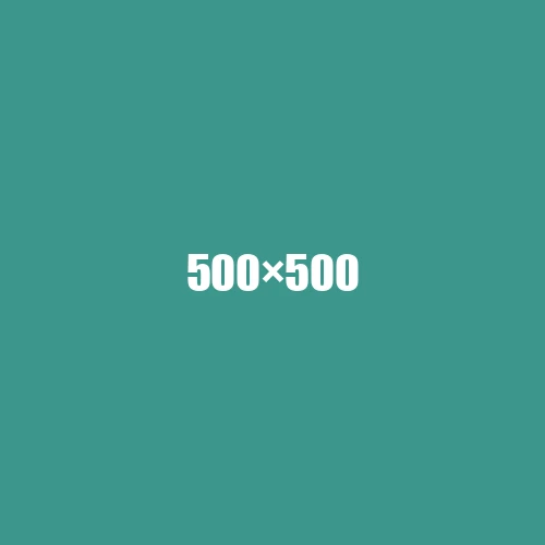 image de remplacement 500 × 500