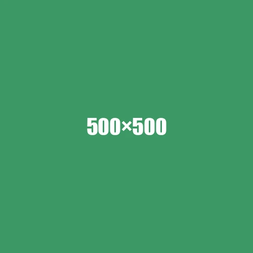 image de remplacement 500 × 500