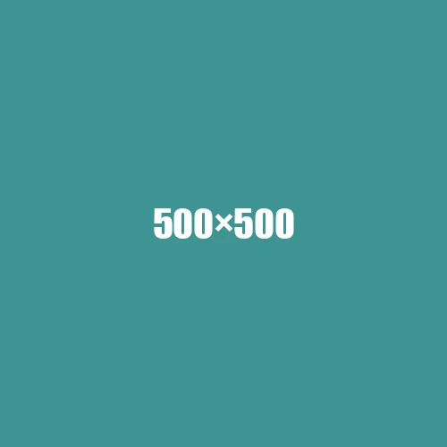 image de remplacement 500 × 500