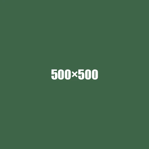 image de remplacement 500 × 500