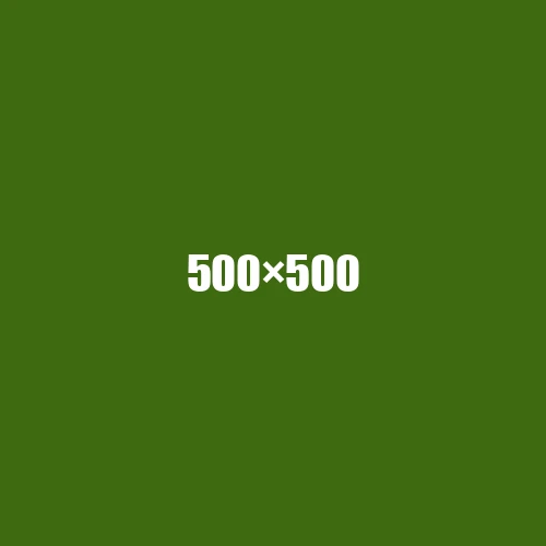 image de remplacement 500 × 500