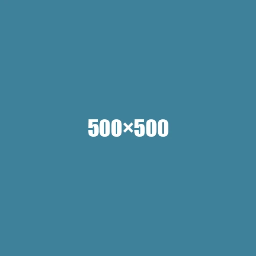 image de remplacement 500 × 500