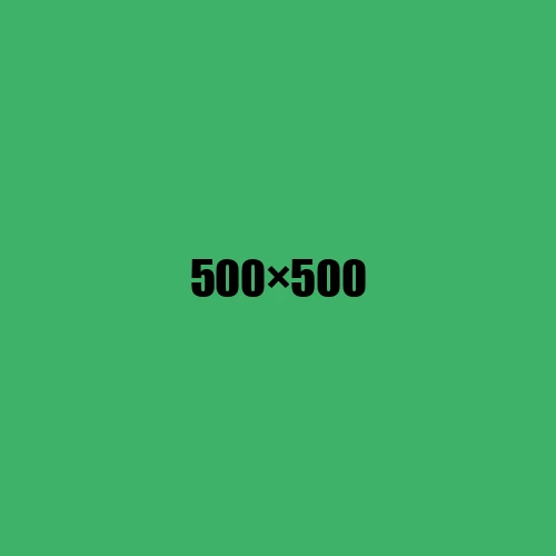 image de remplacement 500 × 500