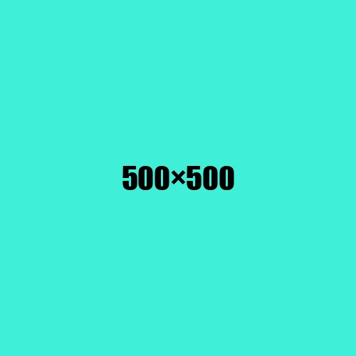 image de remplacement 500 × 500