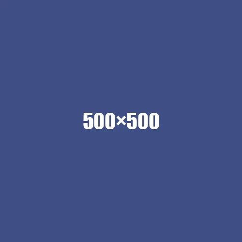 image de remplacement 500 × 500
