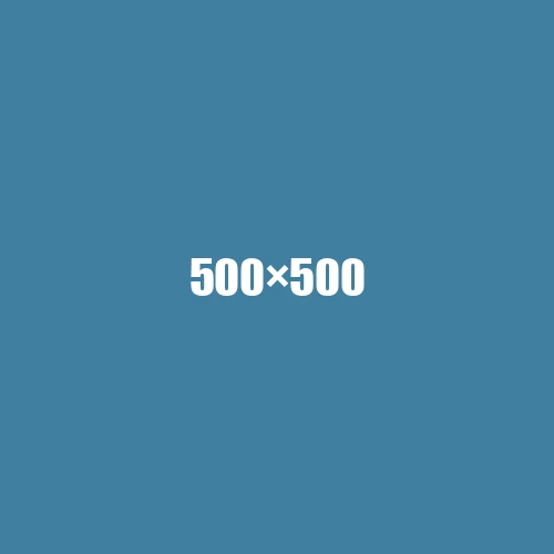 image de remplacement 500 × 500