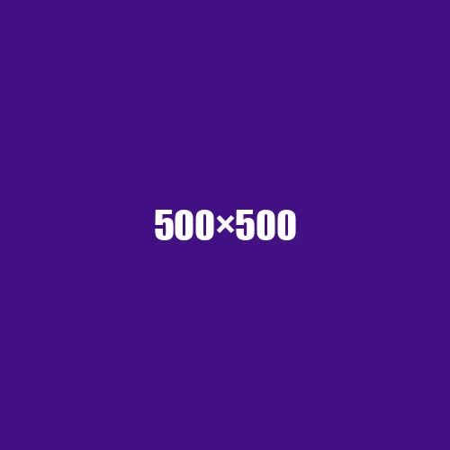 image de remplacement 500 × 500