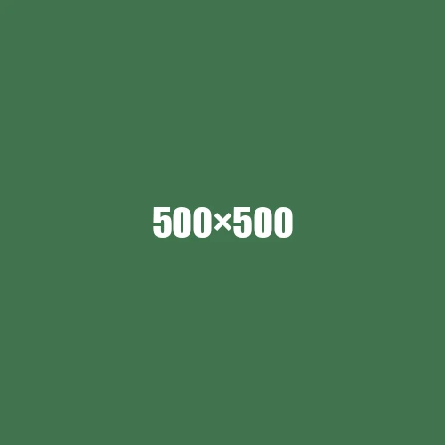 image de remplacement 500 × 500