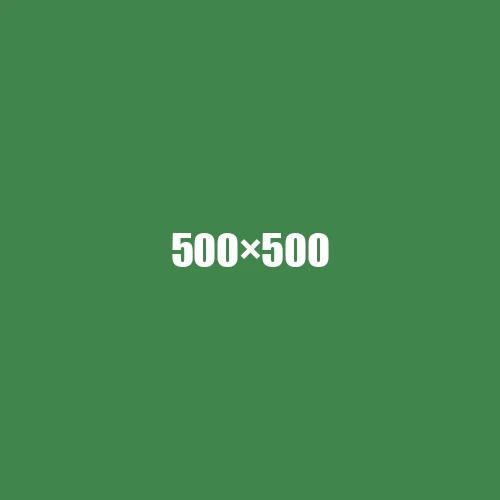 image de remplacement 500 × 500