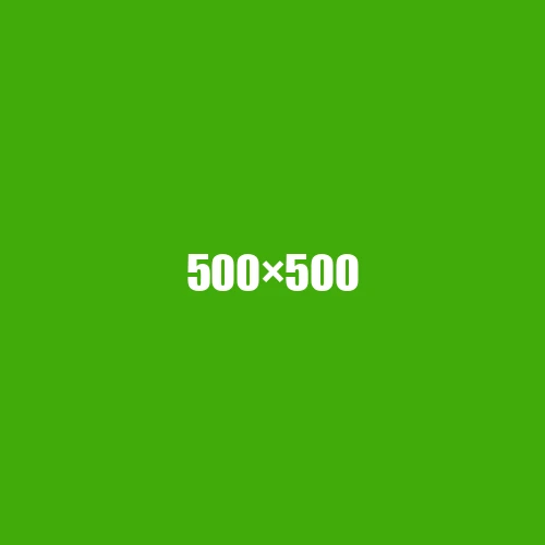 image de remplacement 500 × 500