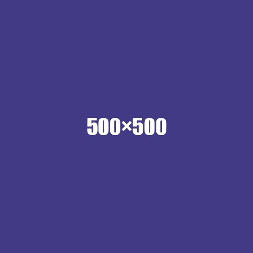 image de remplacement 500 × 500