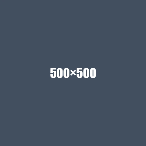 image de remplacement 500 × 500