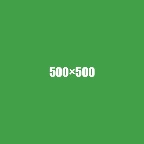 image de remplacement 500 × 500