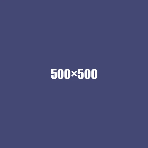 image de remplacement 500 × 500