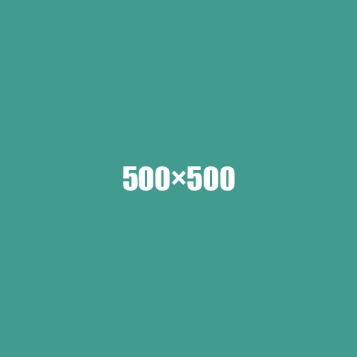 image de remplacement 500 × 500