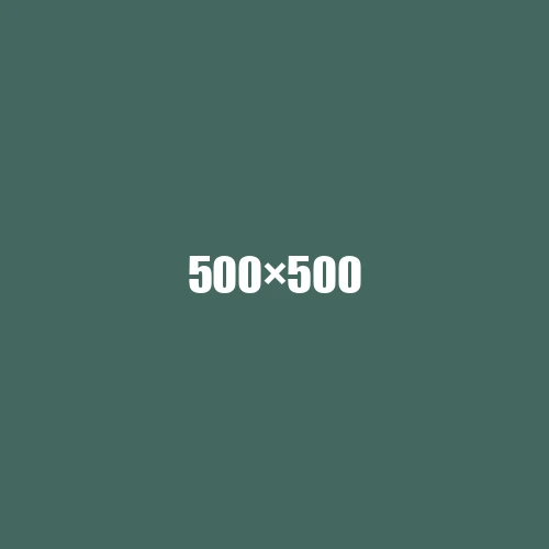 image de remplacement 500 × 500