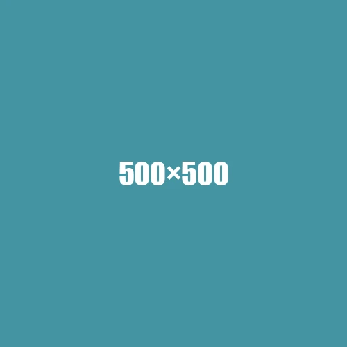 image de remplacement 500 × 500