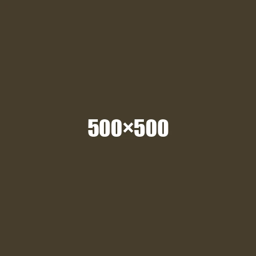 image de remplacement 500 × 500