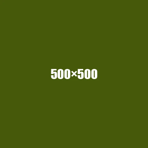 image de remplacement 500 × 500