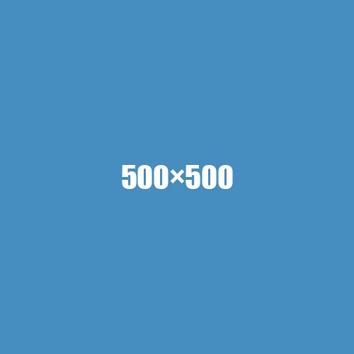 image de remplacement 500 × 500