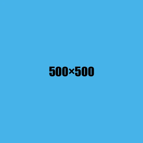 image de remplacement 500 × 500