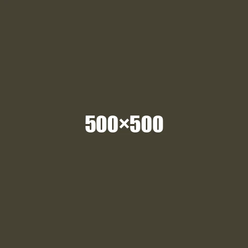 image de remplacement 500 × 500