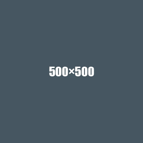 image de remplacement 500 × 500